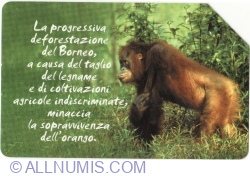 Image #1 of Animali che lasciano un vuoto - Orangutan
