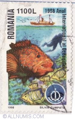 Image #1 of 1100 Lei 1998 - Anul International al Oceanului