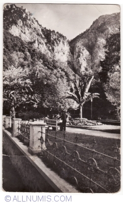 Image #1 of Băile Herculane - Vedere din parc (1964)