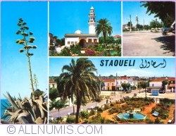 Staoueli (1984)