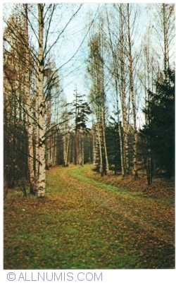 Image #1 of Pavlovsk - Alee în parc (1979)