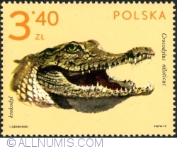 3,40 Złote 1972 - Crocodilul de Nil (Crocodylus niloticus)