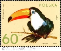 60 Groszy 1972 - Toco toucan (Ramphastos toco)