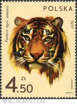 Image #1 of 4,50 Złote 1972 - Tigru din Sumatra (Panthera tigris sumatrae)
