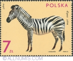 7 Złotych 1972 -  Zebra (Equus zebra)