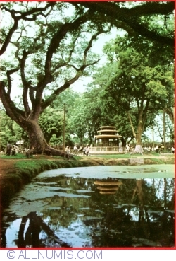 Hanoi - Grădina botanică