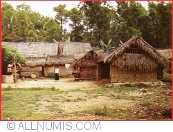 Village. buildings of bamboo and palm leaves (1978)