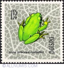 Image #1 of 1,15 złotego - European tree frog.(Hyla arborea)
