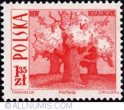 Image #1 of 1,35 złotego 1966 - Old oaks, Rogalin.