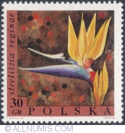 Image #1 of 30 Groszy 1968 - Strelitzia reginae