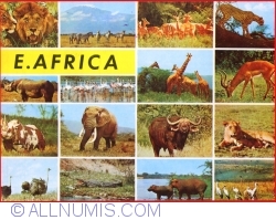 East Africa  - Animale sălbatice