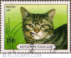 Image #1 of 150 Francs 1997 - American shorthair