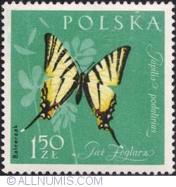 1.50 zlotego - Tigerstriped swallowtail butterfly.