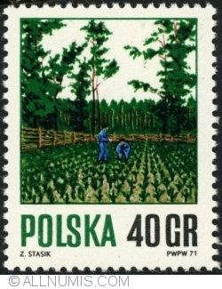 40 Groszy 1971 - Seedlings