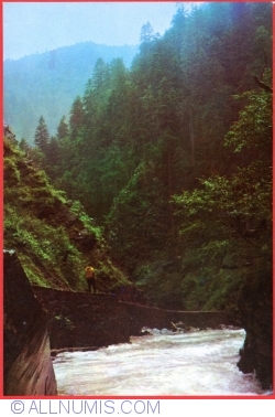 Image #1 of Vâlsanul Gorges