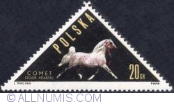 20 groszy - Arabian stallion "Comet"