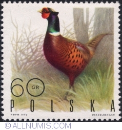 60 Groszy 1970 - Ringnecked Pheasant