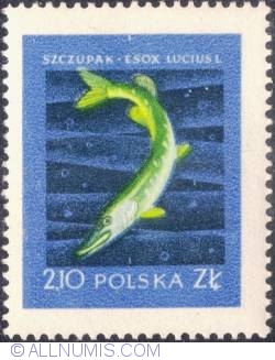 Image #1 of 2,10 złotego - Pike