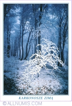 Image #1 of Munții Karkinisze iarna(1991)