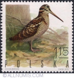 Image #1 of 1,15 Złoty 1970 - Woodcock