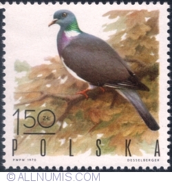 Image #1 of 1,50 Złoty 1970 - Wood pigeon