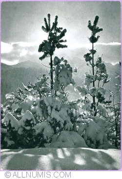 Tatra Mountains - Winter (1984)