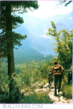 Image #1 of The path on Swistowka (1982)