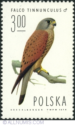 3 Zloty 1975 - Common Kestrel (Falco tinnunculus)