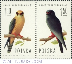 2 x 1 Zloty 1975 - Păsări prădătoare. Șoimii