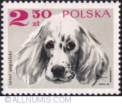 Image #1 of 2,50 Złoty 1969 - English setter