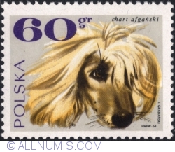 60 Groszy 1969 - Afgan Greyhound