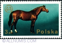 3 Zloty 1975 - Arabian stallion
