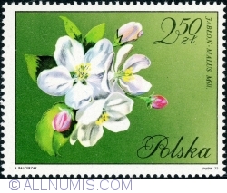 2.50 zloty 1972 - Jabloń (Malus)