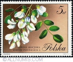 Image #1 of 5 Złotych 1971 - Acacia robinia (Robinia Pseudoacacia L.)