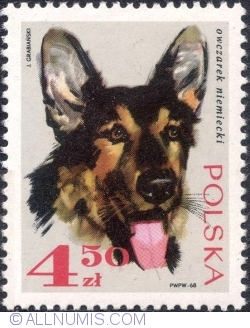 4,50 Złote 1969 - German shepherd