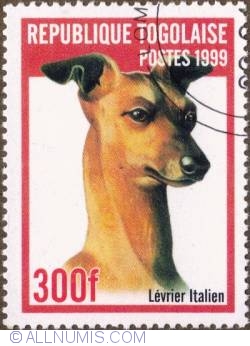 Image #1 of 300 Francs 1999 - Italian hound