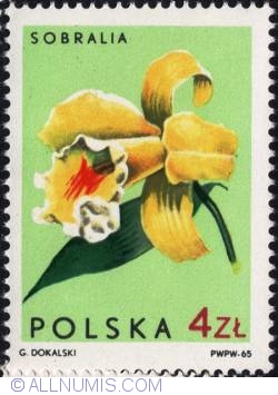 Image #1 of 4 złote 1965 - Sobralia