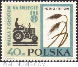 40 groszy- Tractor and wheat