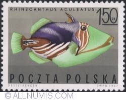 Image #1 of 1,50 złotego 1967 - Black-eye butterflyfish (Chaetodon melanopterus)