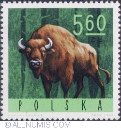 5,60 złotego 1965 - European bison