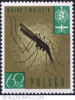 60 groszy Malaria- Anopheles Mosquito
