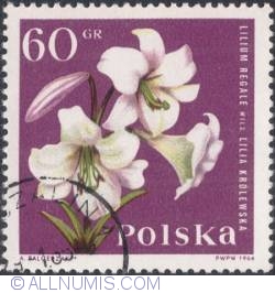 Image #1 of 60 groszy 1964 - Royal lily (Lilium regale)