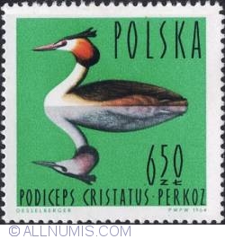 Image #1 of 6,50 złotego -Great crested grebe