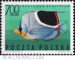 Image #1 of 7 złotych 1967 - Chaetodon ephippium