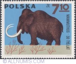 7,10 złotego1966 - Mammoth