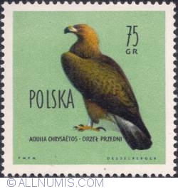 Image #1 of 75 groszy - Golden eagle.