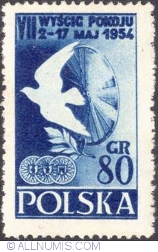 80 groszy 1954 -  Dove, olive branch and wheel.