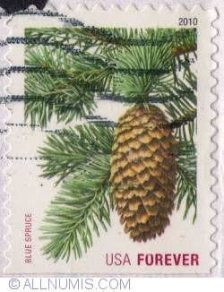 First Class Forever Stamps (44c.) - Blue Spruce