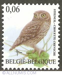 0,06 Euro 2007 - Little Owl