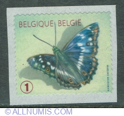 Image #1 of "1" 2012 -  Butterfly Lesser Purple Emperor (Apatura ilia)
